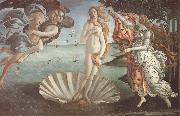 Sandro Botticelli The birth of Venus oil